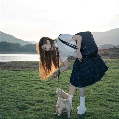 企鹅之岛：福克兰