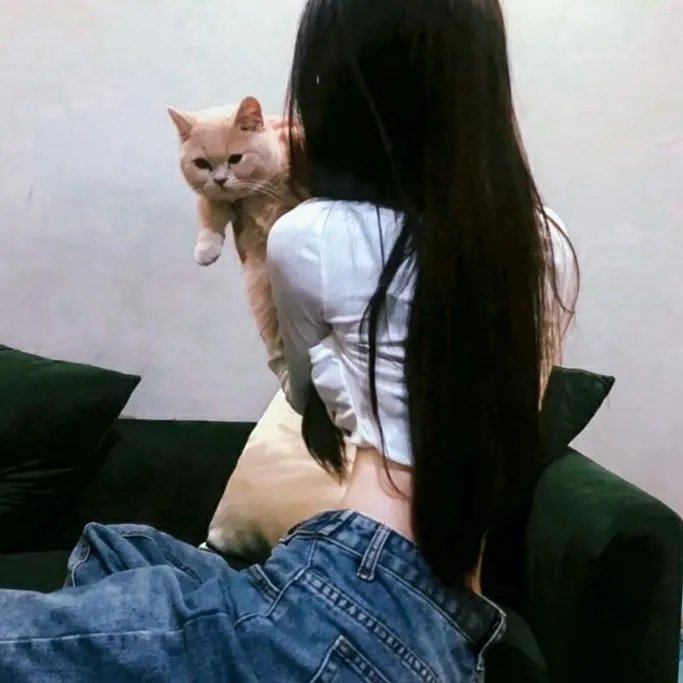 金剑雕翎